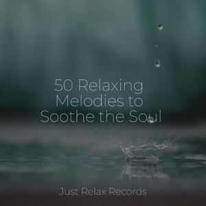 Soul's Lingering Lament