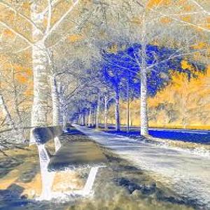 The Part Of Me You Took