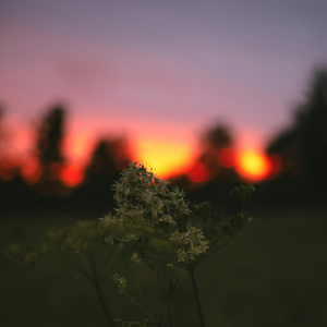 Slowly Moving Forward