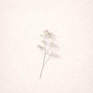 Intro (Album Missing)