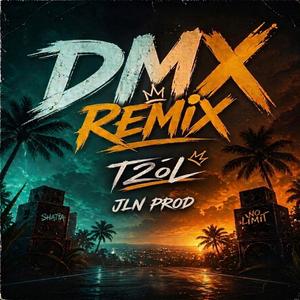 DMX R3MX