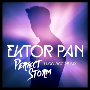 Perfect Storm (U-Go-Boy Remix)