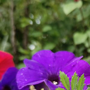 加油努力拉屎要用力