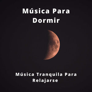 Sonidos Para Asentarse