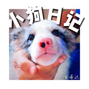 小狗日记（feat.荞麦）