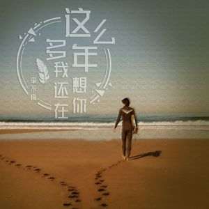 这么多年我还在想你