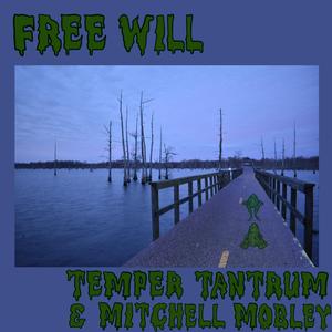 Free Will