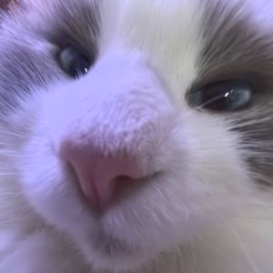 街角的灯与未寄出的信