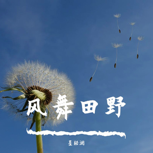 风舞田野（cover：夕颜）