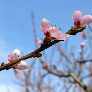 二十四节气·大暑