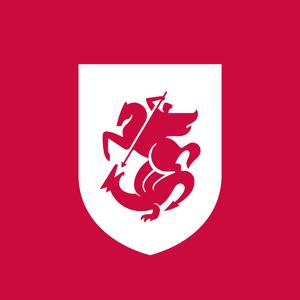 მე ვარ საქართველო • I am Georgia (Radio Edit)