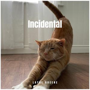 Incidental