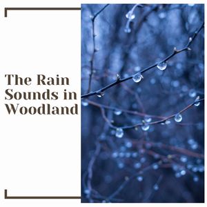 Lightning Night Time