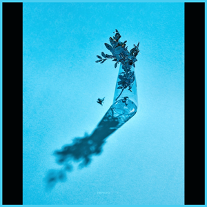 정서심층