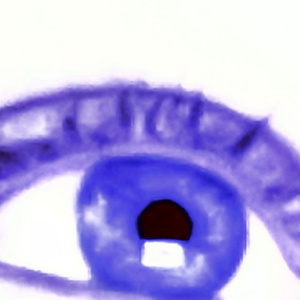 HAUTNAH
