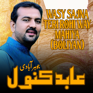 Wasy Sajna Teri Rohi Way Mahiya (Boliyan)