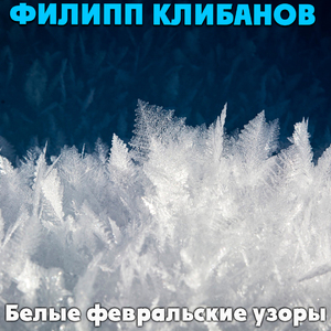 Белые февральские узоры