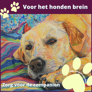 Braaf hondje