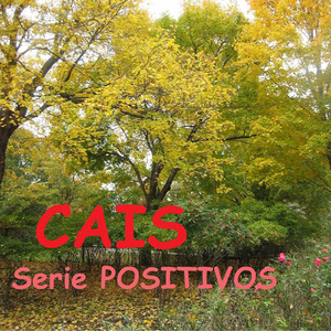 O Mundo É um Moinho