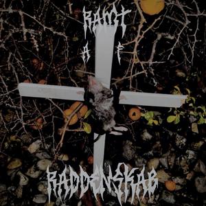 Smattede børn på motorvejen (E45)