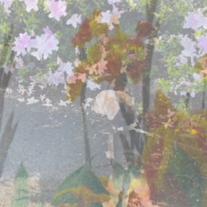 舞茸でトリップ (Remix)