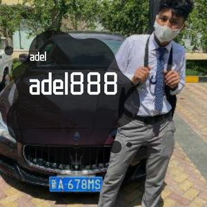 地磁卡-DJ Mixer adel（adel remix）