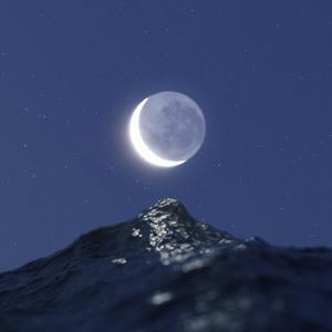你的星 _ On Your Planet