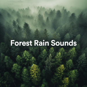 Forest Sounds