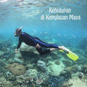 Kehidupan di Kepulauan Maya (Cover)