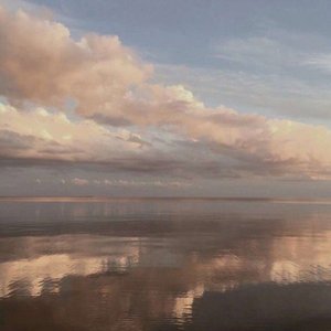 粒子们（cover：于贞）