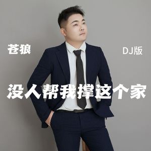 没人帮我撑这个家 (DJ版)