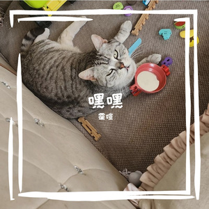 切断与你的消息