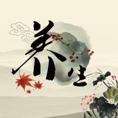 中式理疗五音疗愈音律|古筝