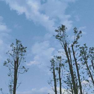 胜券在握（prod by weloveziho)