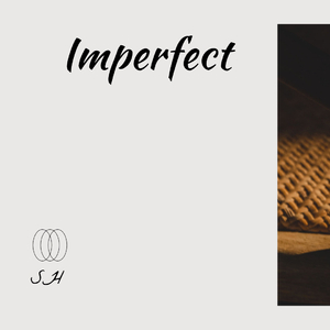 你从未离去（SH remix）