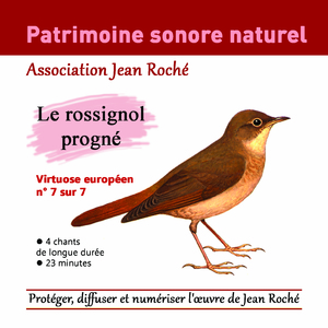 Rossignol progné-Luscinia luscinia_Chant 3 (Delta du Danube - Roumanie) - avril 66 (Protéger et diffuser l'oeuvre de Jean roché)