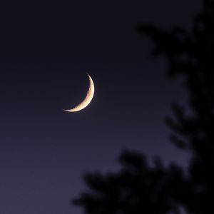 Moon rain