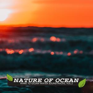 Ocean Tones New York