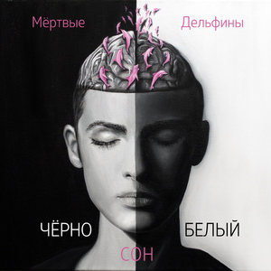 Чёрно-белый сон