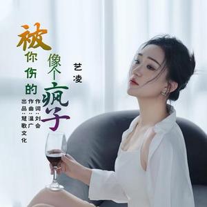 被你伤的像个疯子 DJ版0.8x