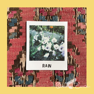 หลบฝน