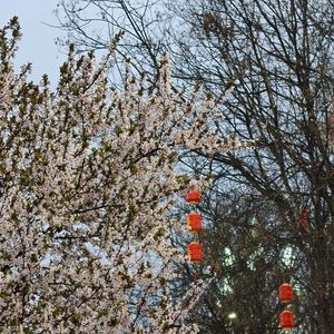 爱终究是场赌注