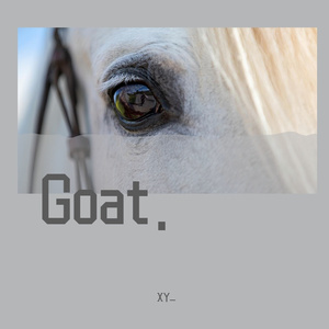 Goat.