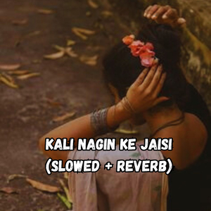 Kali nagin ke jaisi (Slowed + Reverb)