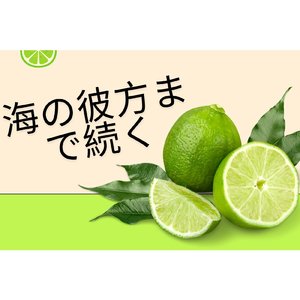 光の道を探そう