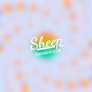 sheep
