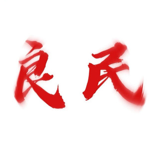 鸥群告诉我的事