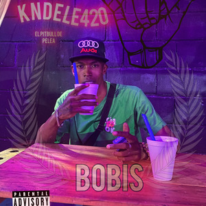 BOBIS