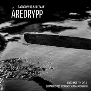 Åredrypp