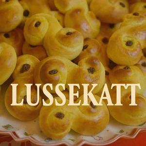 Lussekatt